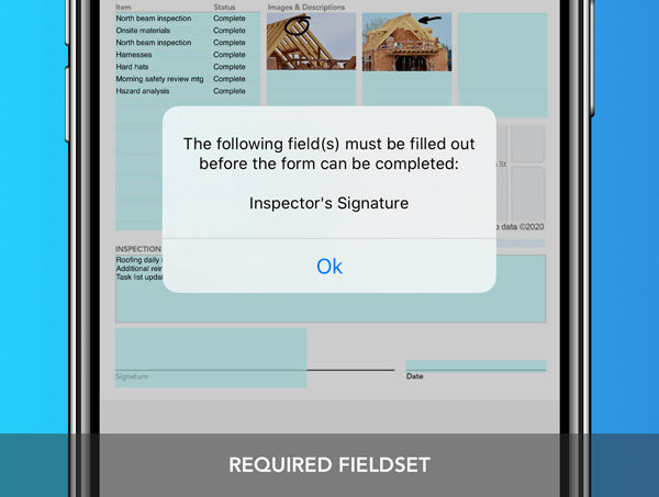 Get the information you need captured with required fields