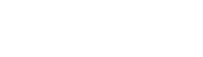 GoFormz Logo White