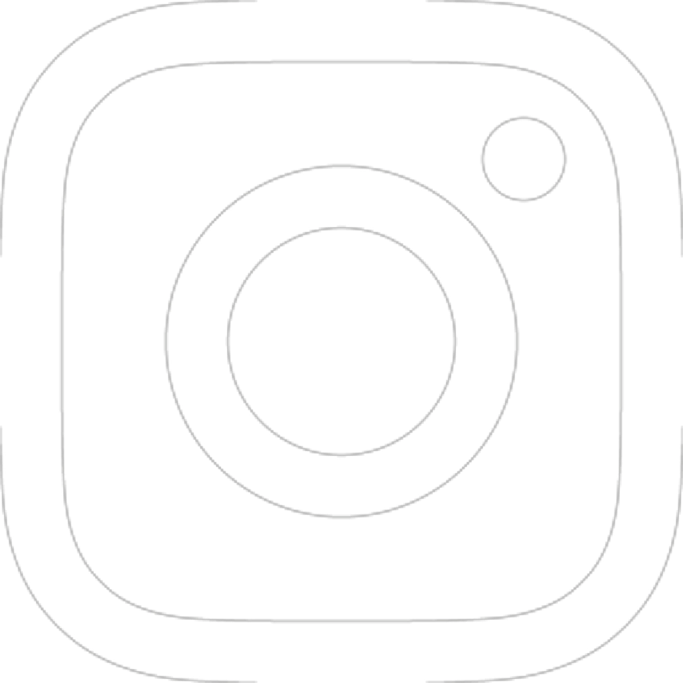 Instgram icon