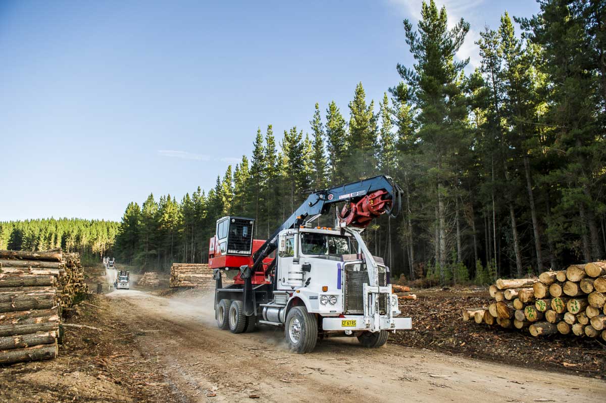 Logging equipment drives through lumber yard