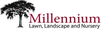 Millennium Nursery logo