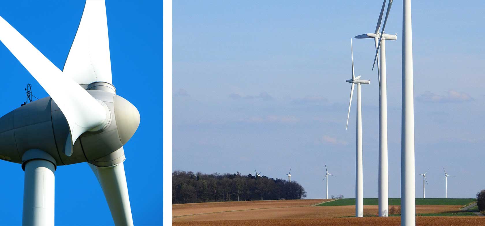 Wind turbines in a large field